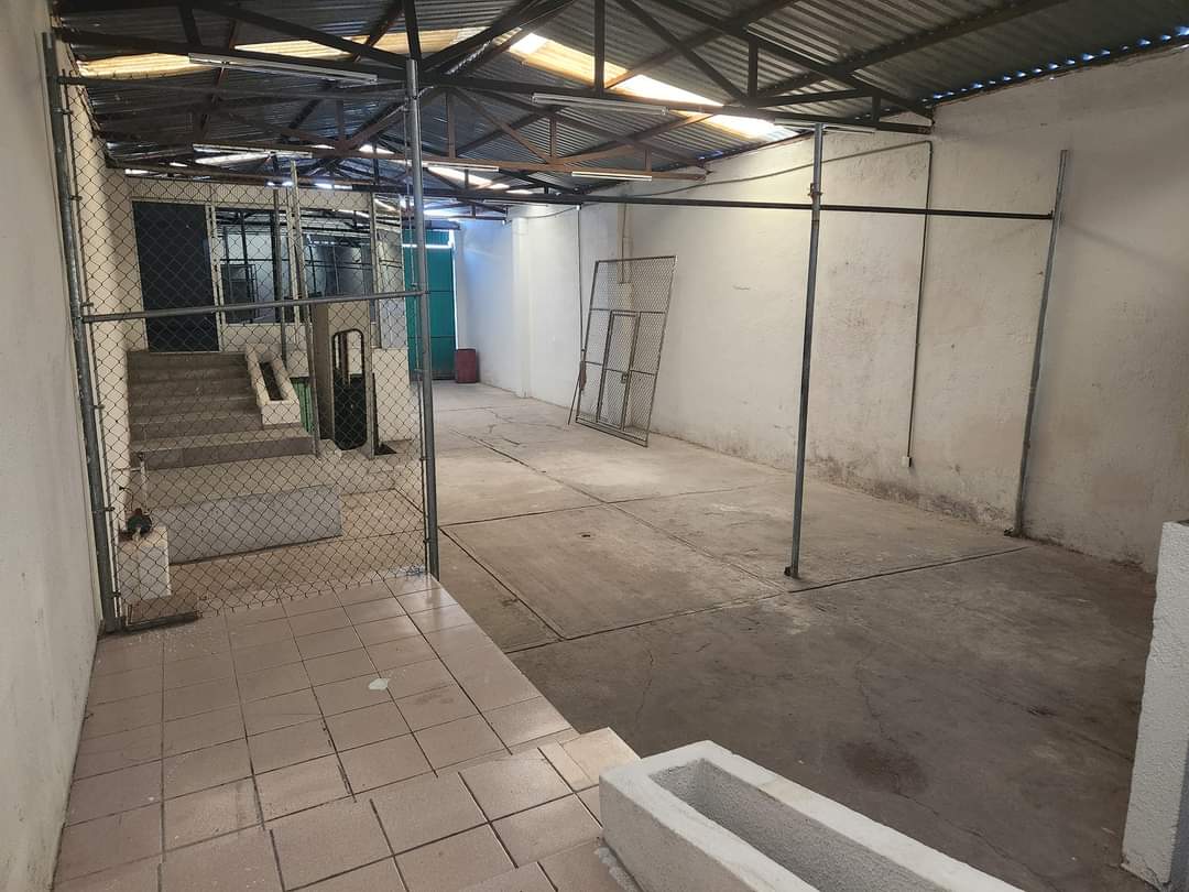 FB_IMG_1690236510346