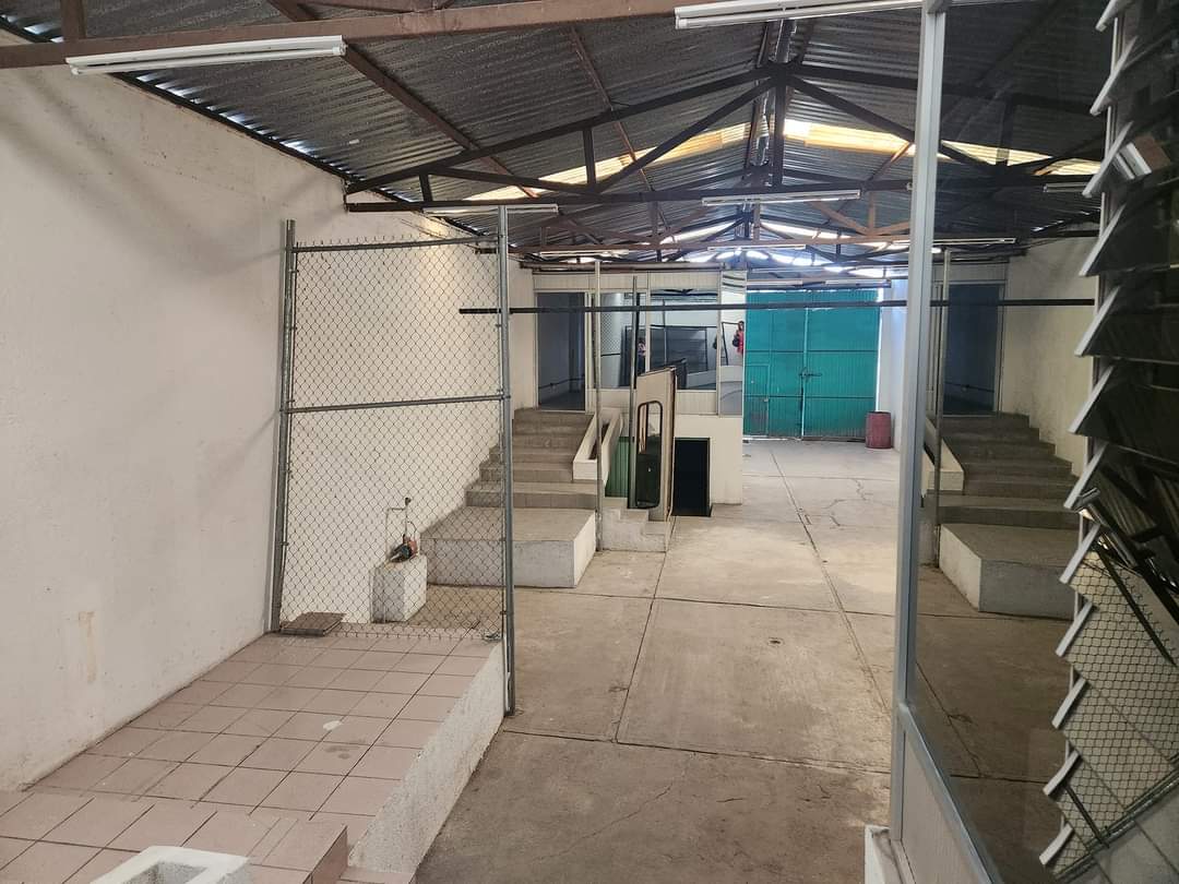 FB_IMG_1690236514731